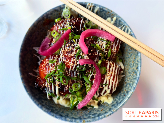 Kuma - Donburi karaage