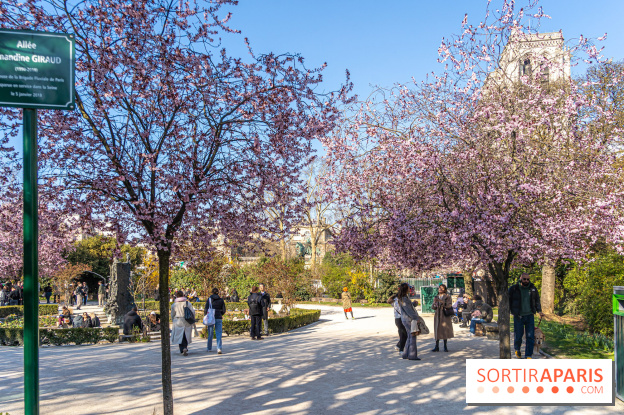 Le Square Viviani devant Notre-Dame de Paris