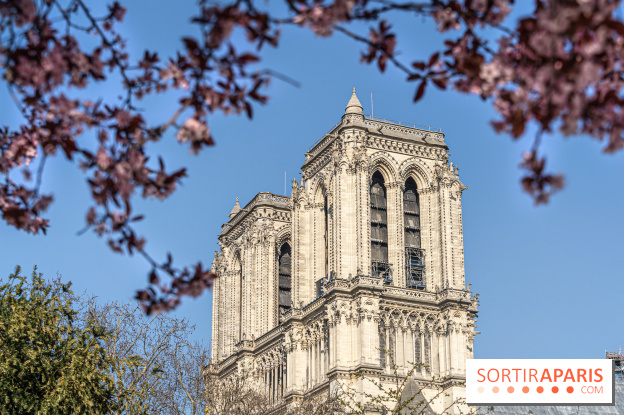 Le Square Viviani devant Notre-Dame de Paris