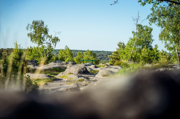 Planifiez dès maintenant vos week-ends et séjours de 2026 au Pays de Fontainebleau ! 
