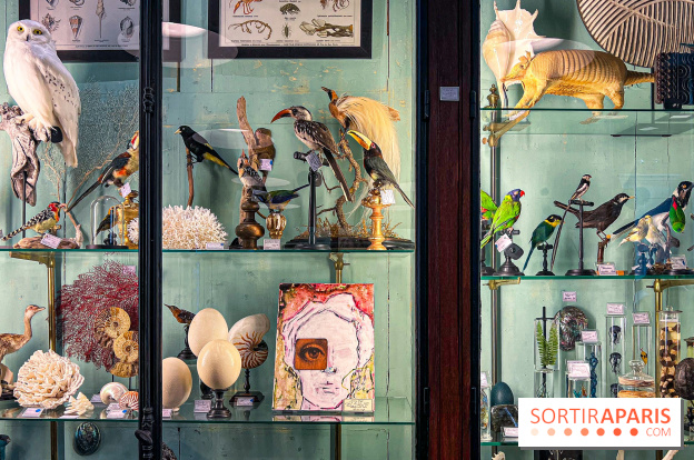 L'exposition gratuite des œuvres de Johnny Depp dans un cabinet de curiosités parisien - image00048