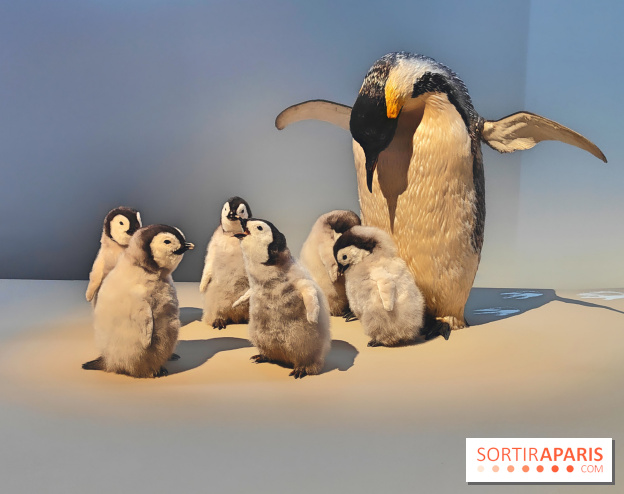 Déserts : l'exposition scientifique se dévoile au Muséum d'Histoire naturelle de Paris - fotor 1743502115937