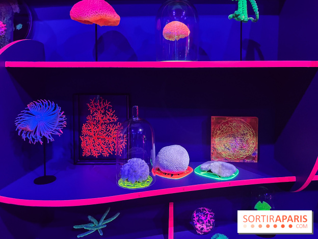 Digital Abysses au musée en Herbe - nos photos - E6BCA310 565F 4759 9D61 097FAD60F57B