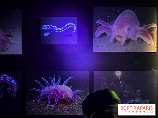 Digital Abysses au musée en Herbe - nos photos - 75DC5D6A 1C62 4583 B62A 02535EB14982