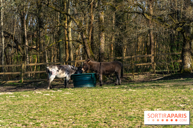 La Ferme de l’Abbaye des Vaux de Cernay : l'hôtel de charme en pleine nature dans les Yvelines - photos