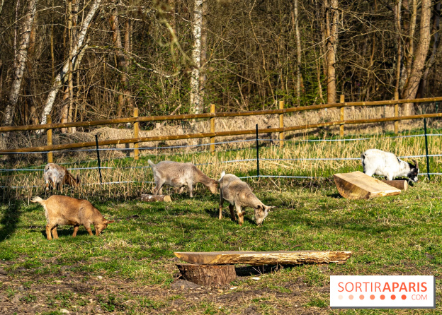 La Ferme de l’Abbaye des Vaux de Cernay : l'hôtel de charme en pleine nature dans les Yvelines - photos