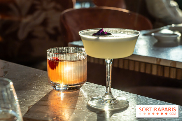 Kinugawa Rive Gauche à Paris, le restaurant en rooftop de l'Hôtel Sax - photos