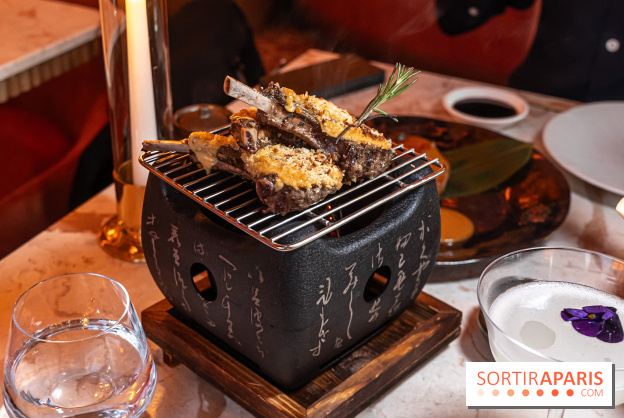 Kinugawa Rive Gauche à Paris, le restaurant en rooftop de l'Hôtel Sax - photos