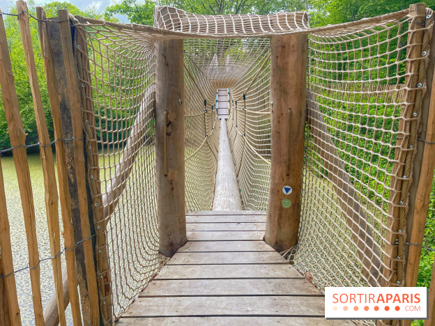 Mission Forêt - IMG 2142