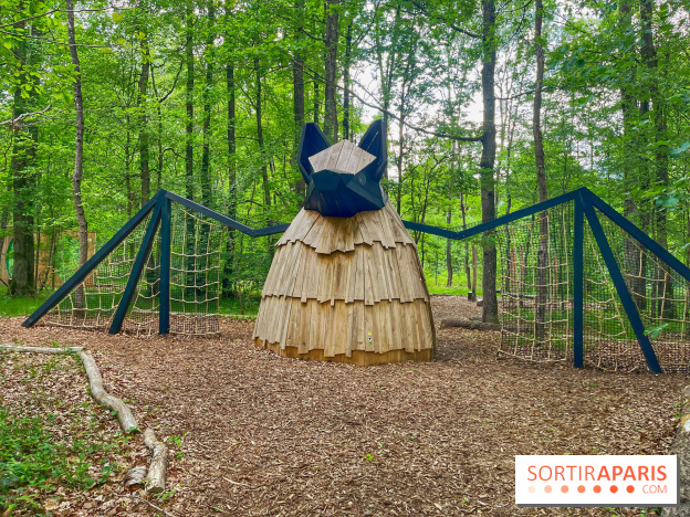 Mission Forêt - IMG 2152