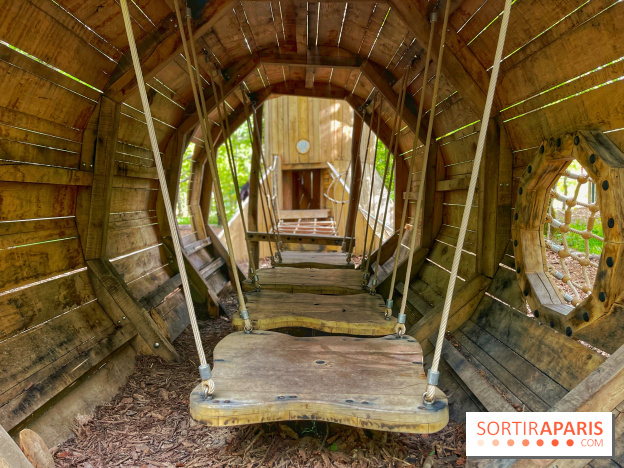 Mission Forêt - IMG 2154