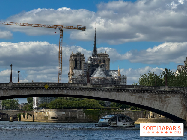 Brunch croisière à volonté sur la Seine – Le Diamant Bleu Paris - IMG 5068