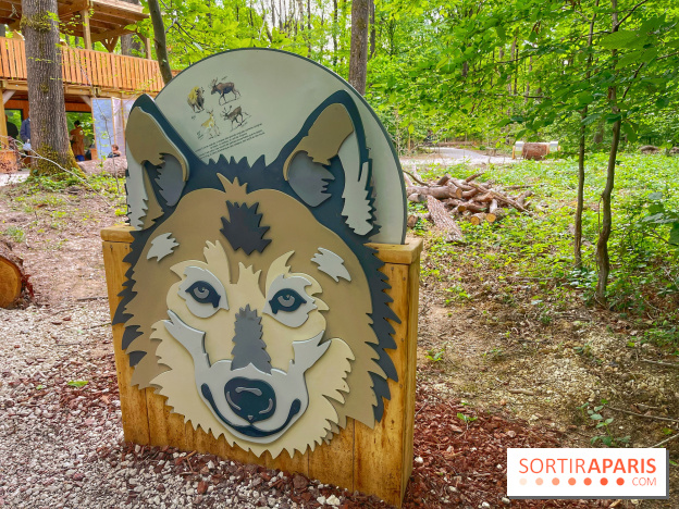 La Forêt des Loups - IMG 2086