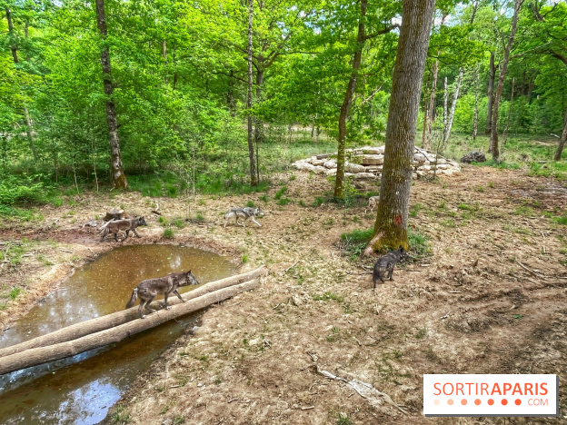 La Forêt des Loups