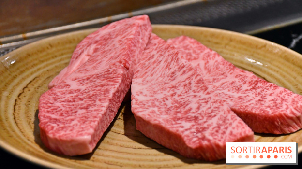 Ayako Paris, le restaurant pour les amoureux du Teppanyaki - DSC 3950 Fotor