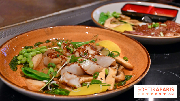 Ayako Paris, le restaurant pour les amoureux du Teppanyaki - DSC 4003 Fotor