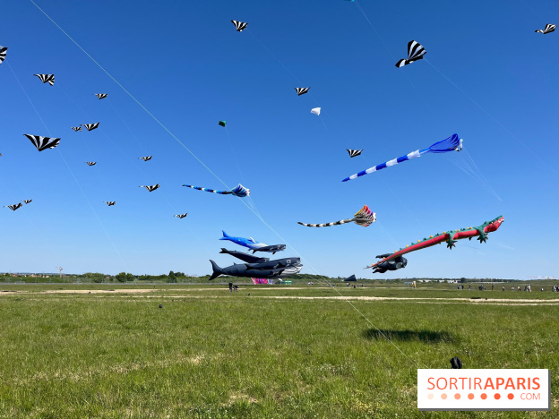 Festival de Cerfs-Volants à la Base 217 - IMG 2190