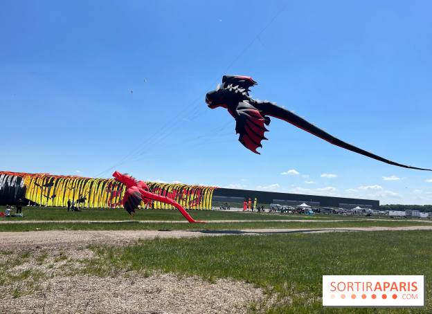 Festival de Cerfs-Volants à la Base 217 - IMG 2209