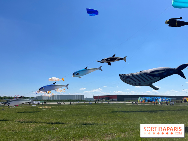 Festival de Cerfs-Volants à la Base 217 - IMG 2215