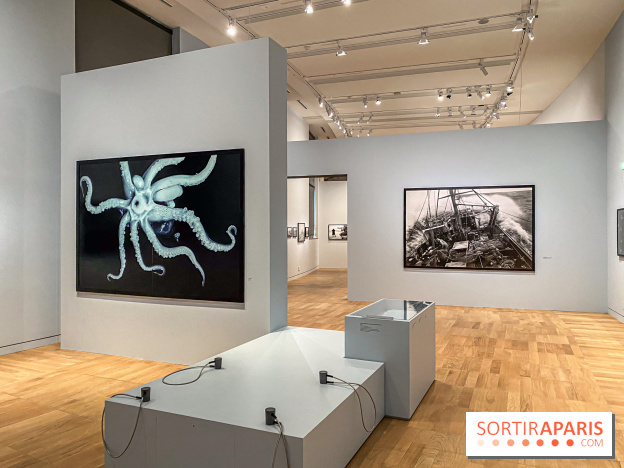 Jean Gaumy et la Mer : l'exposition maritime intimiste au Musée de la Marine - IMG 5478