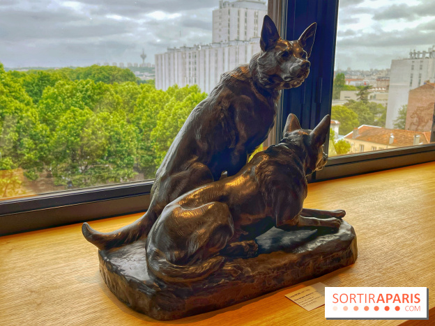 Collection dédié aux chiens - IMG 2317