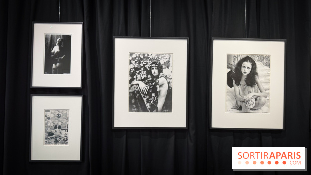 La Bête Humaine : Salon de tatouage - IMG 4891 jpg