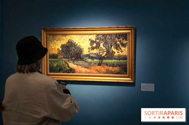 Exposition Van Gogh, les derniers voyages - photos - A7C08777