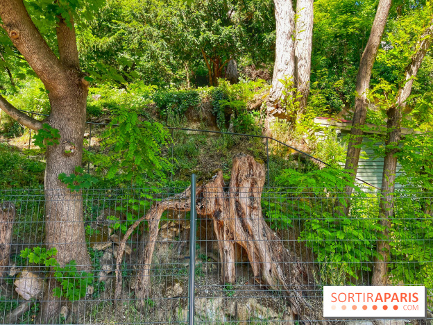 Encore plus d'Auvers-sur-Oise - IMG 2399