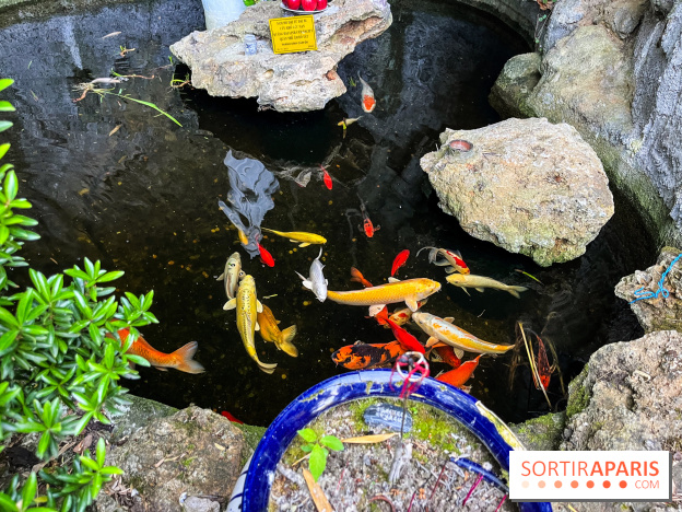 La pagode Trúc Lâm Thiền Viện - nos photos - image00021