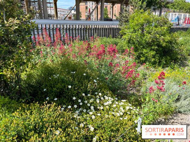 Jardin Anna Marly - nos photos