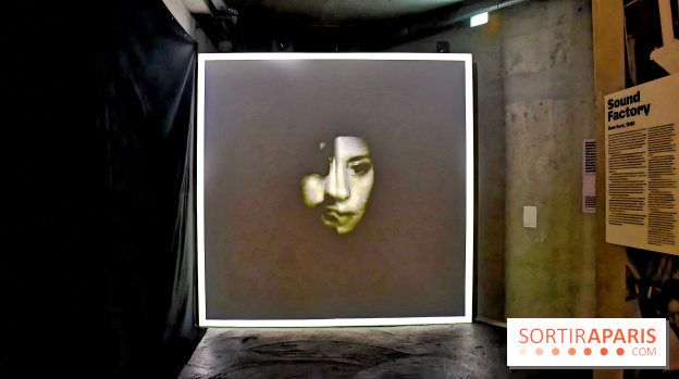 Artificial Dreams II au Grand Palais Immersif : l'exposition nocturne - IMG 1005