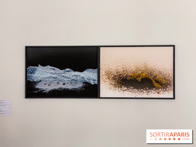 Exposition de Fred Atlan à la galerie Rachel Hardouin : au creux de mes paupières