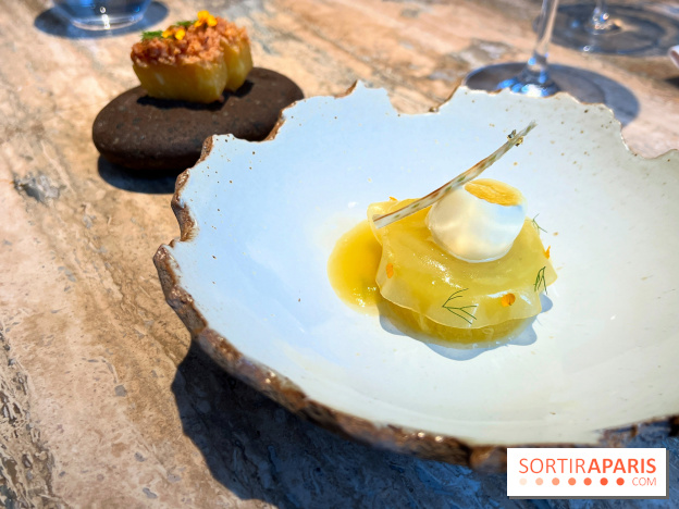 Restaurant Alan Geaam - L'Ananas Victoria Arak, fenouil, pignon de pain