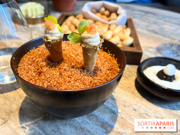 Restaurant Alan Geaam - Houmous, citron caviar, praliné graine de courge