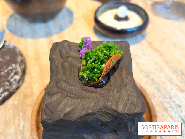 Restaurant Alan Geaam - Tacos de baba ganoush, feuille d'huître, raisin de mer