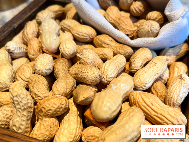 Restaurant Alan Geaam - Cacahuète au foie gras, combava, piment de cayenne