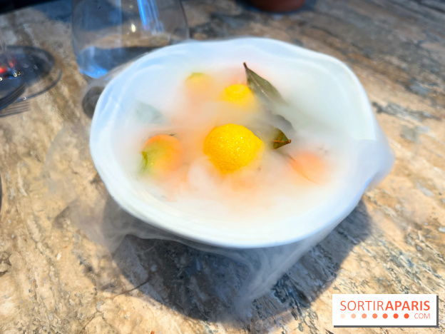 Restaurant Alan Geaam - Citron à l'azote