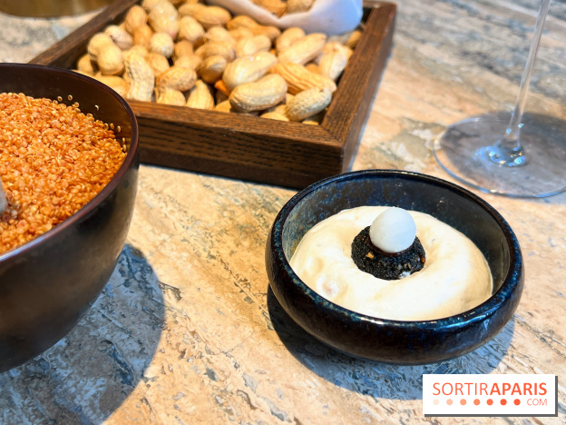 Restaurant Alan Geaam - Mini falafel, labhan, vierge de pois chiche, pickles radis