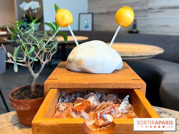 Restaurant Alan Geaam - Sucette de mouhalabieh, miel et pollen