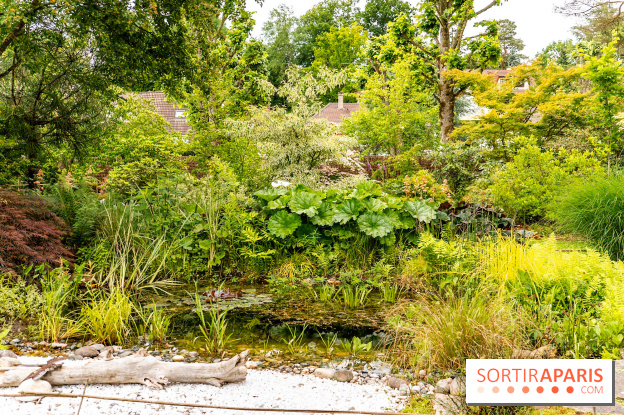 Le Jardin des Aubépines a Auffargis  - A7C01341