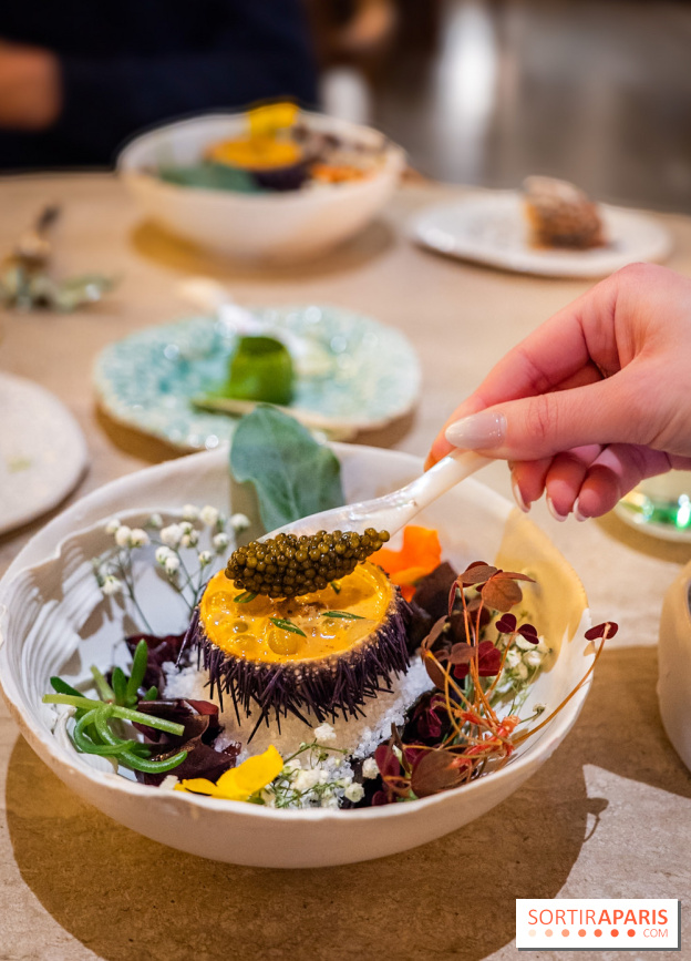 L'Orangerie, le restaurant 2 étoiles du George V - les photos  - A7C03607