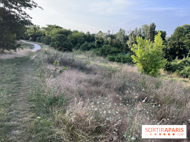 Le parc de l'Île-Saint-Denis - nos photos - 7B5E50E8 A9AF 4D82 AC6B FBB16863195F