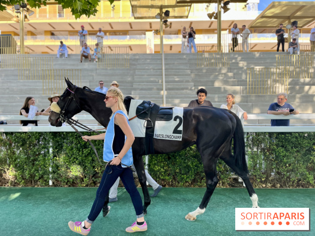 Jeuxdi by Longchamp - IMG 3011