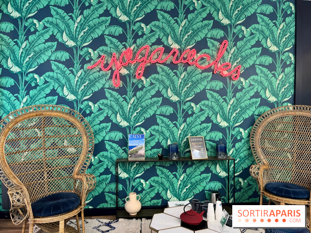 YUJ, les cours de yoga sous lumière infrarouge - nos photos - BEBA2C3E F989 44B6 B51A 2EE665C20B63