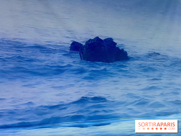 Topologie de l’Eau : Roches, Plantes et Vent - IMG 3250