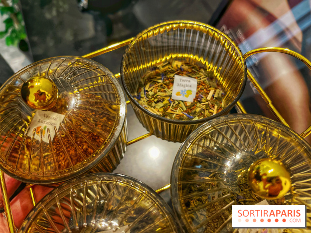 Hôtel et spa Belmont - IMG 3129