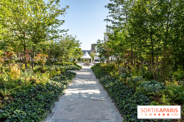 Hôtel de Ville - De Paris à Belem - Forêt Urbaine - Obey  - A7C03314