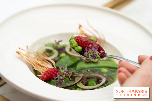 Maison Delano restaurant et terrasse cachée Paris 8e - Jardin des pois