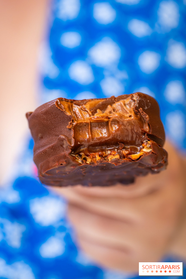 Les bouchées glacées de la Chocolaterie William Artigue, les esquimaux gourmands
