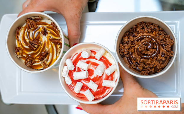 Les glaces gourmandes de l'Épicerie du Bristol - les photos - A7C03302